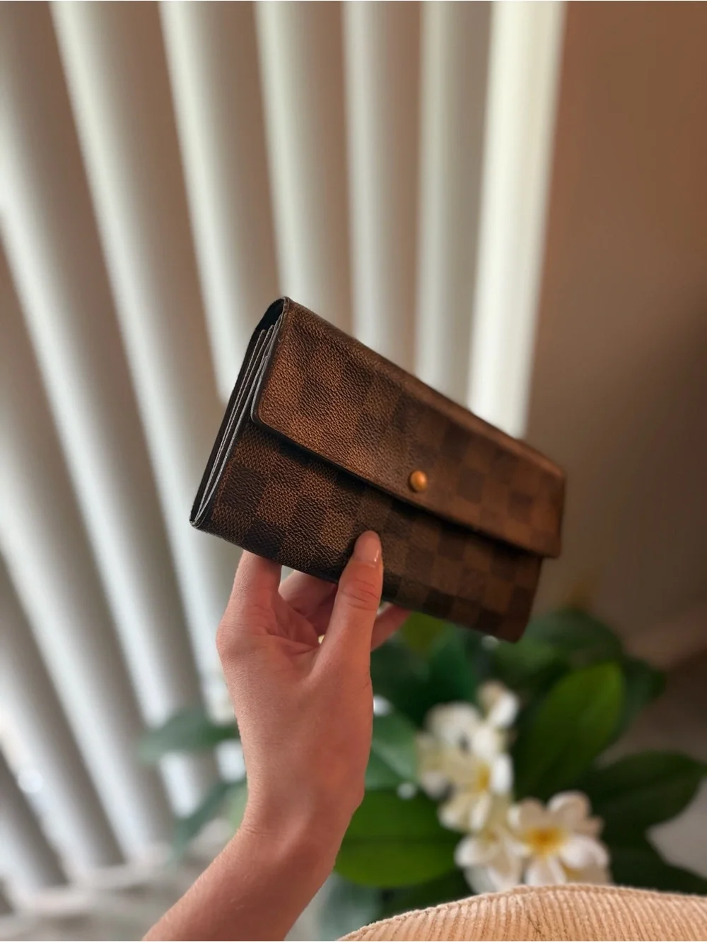Louis Vuitton Epene Damier Women's Wallet Clutch